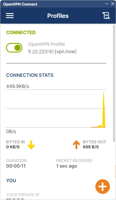 OpenVPN vpn.how works